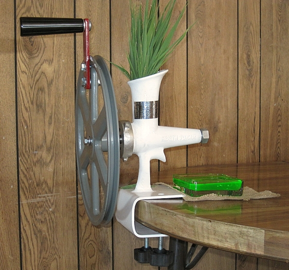 WHEAT GRASS JUICER WITH FLYWHEEL